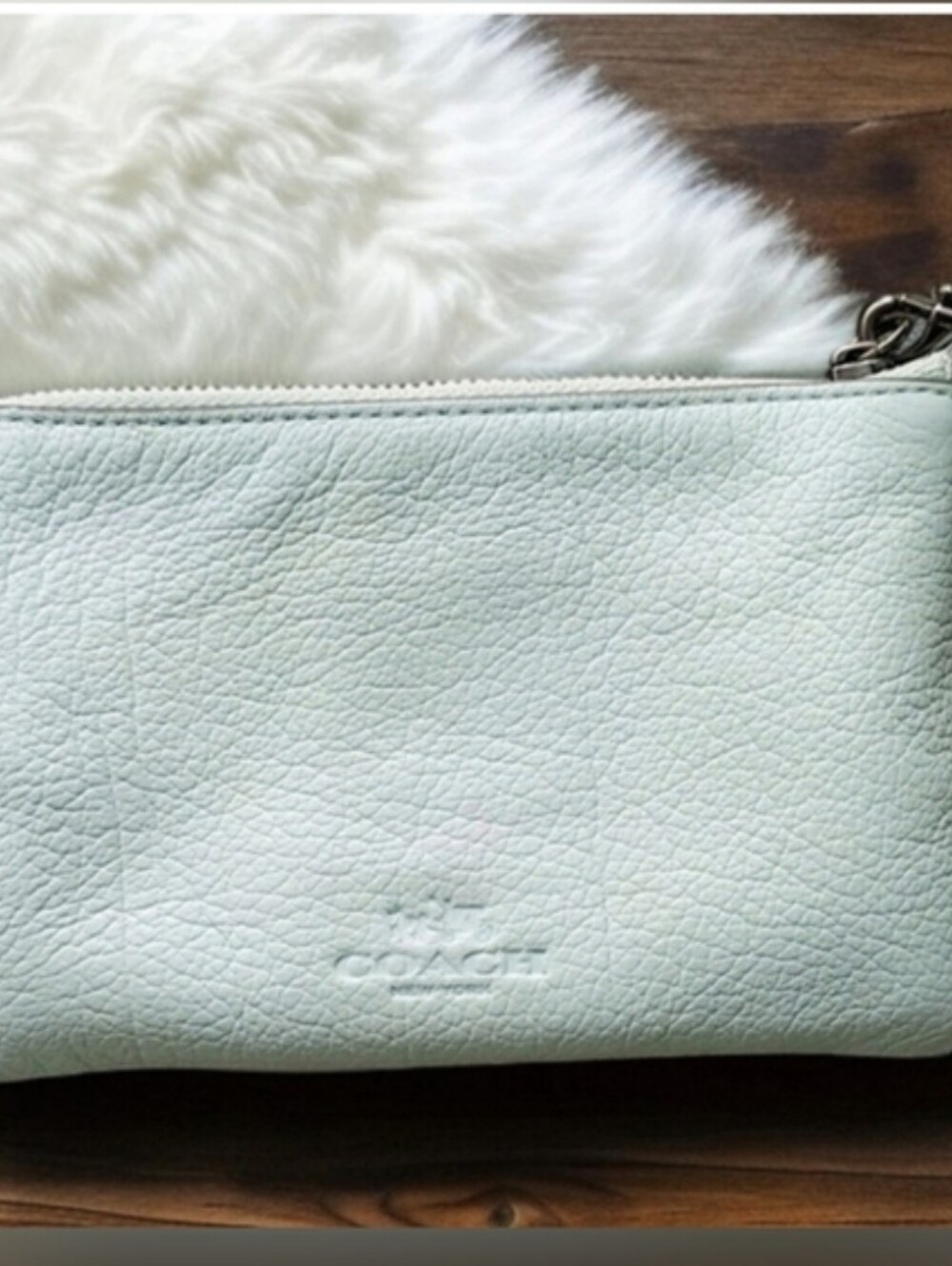 COACH BRAVE WRISTLET RARE MINT GREEN PEBBLE LEATHER LMTD ED 2015 Tag GUC